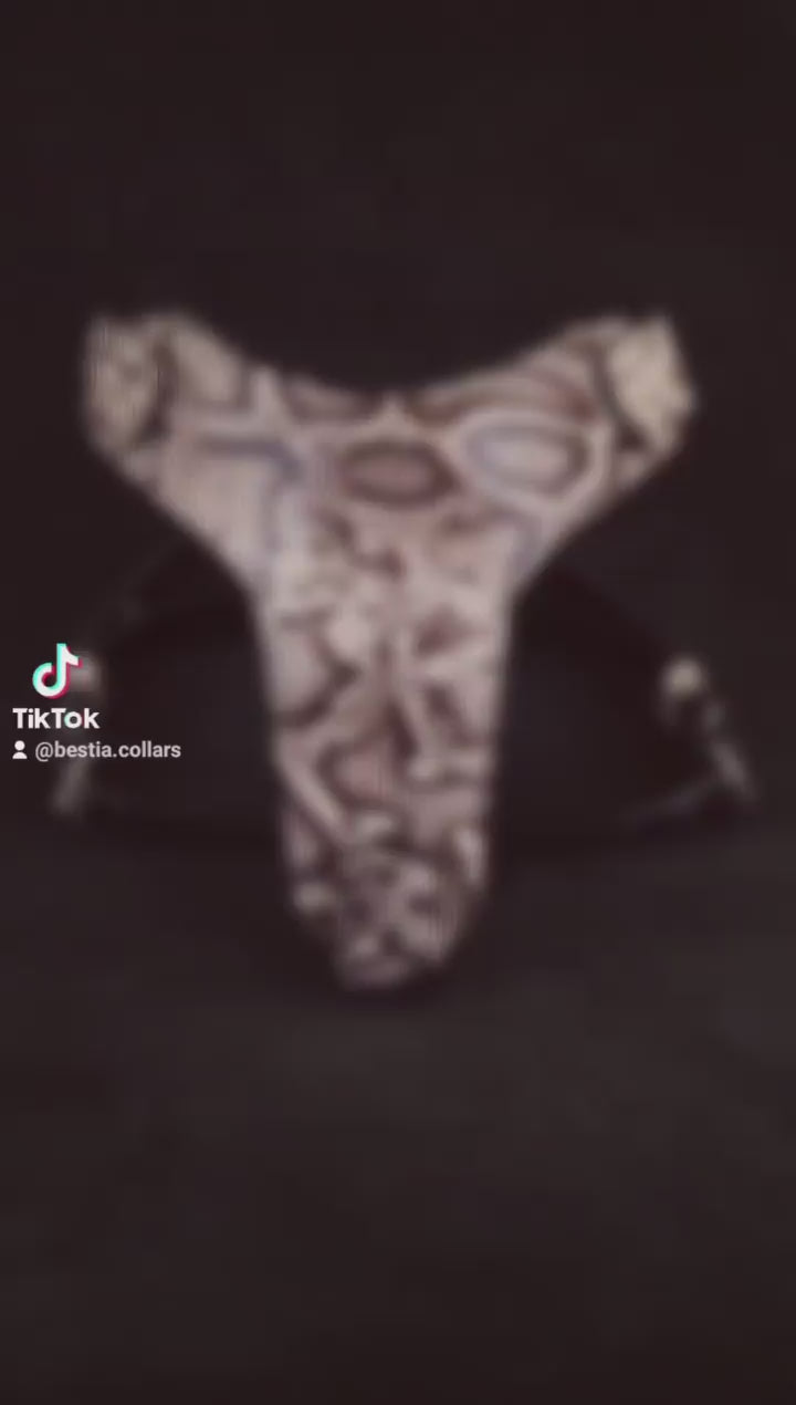 The ''Rock Python'' harness